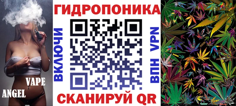 наркота  Светлоград  Канабис индика 